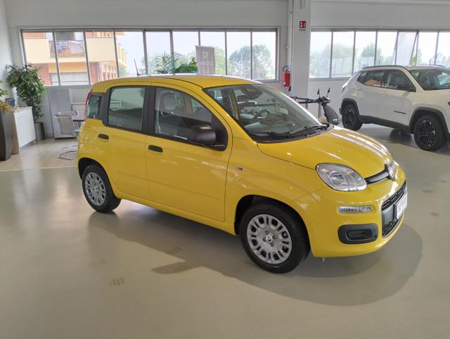 Fiat Panda 1.0 FireFly S&S Hybrid MY25 - foto 3 di 4