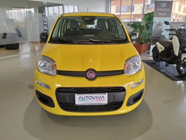 Fiat Panda 1.0 FireFly S&S Hybrid MY25 - foto 2 di 4