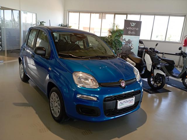 Fiat Panda 1.0 FireFly S&S Hybrid Icon - foto 3 di 4