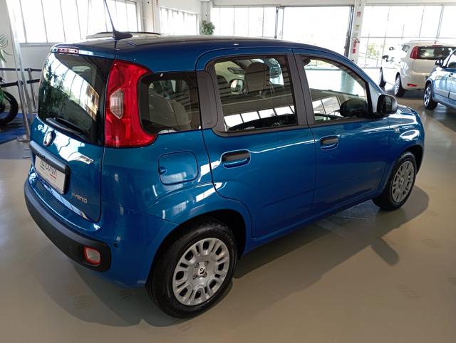 Fiat Panda 1.0 FireFly S&S Hybrid Icon - foto 4 di 4