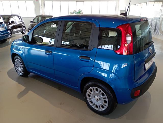 Fiat Panda 1.0 FireFly S&S Hybrid Icon usato a TORINO