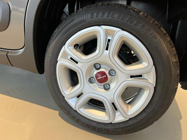 Fiat Panda 1.0 FireFly S&S Hybrid, del 2023, in vendita a Torino (TO)