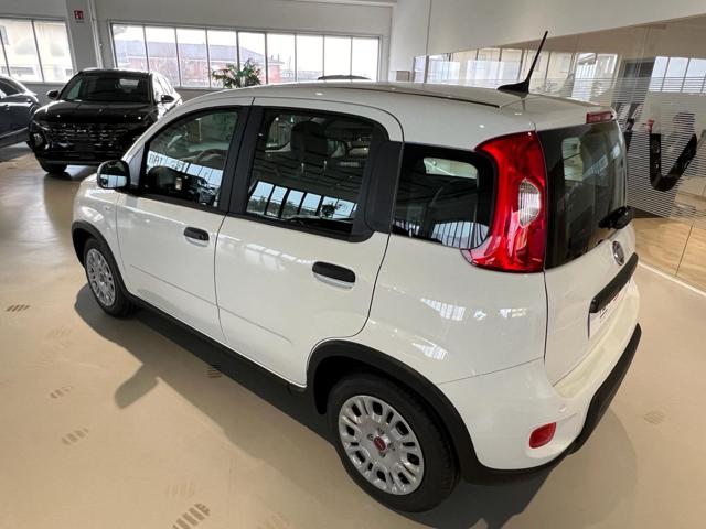Fiat Panda 1.0 FireFly S&S Hybrid - foto 4 di 4