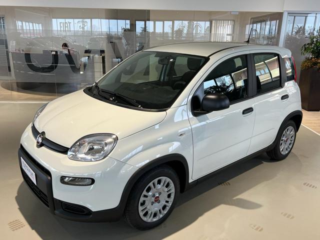 Fiat Panda 1.0 FireFly S&S Hybrid km 0 a TORINO