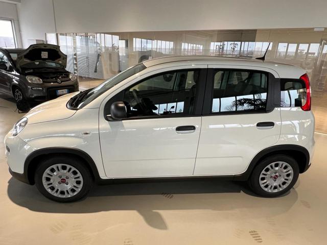 Fiat Panda 1.0 FireFly S&S Hybrid - foto 3 di 4