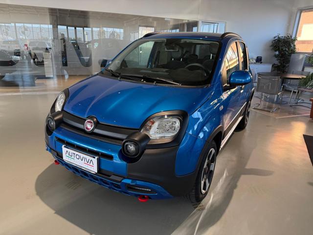 Fiat Panda Cross 1.0 FireFly S&S Hybrid usato a TORINO