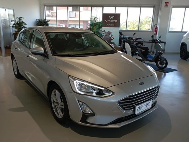 Ford Focus 1.5 EcoBlue 95 CV 5p. Plus - foto 3 di 4