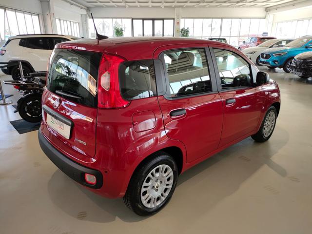 Fiat Panda 1.0 FireFly S&S Hybrid MY25 - foto 4 di 4