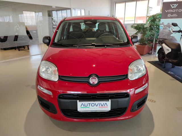 Fiat Panda 1.0 FireFly S&S Hybrid MY25 - foto 2 di 4