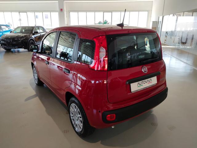 Fiat Panda 1.0 FireFly S&S Hybrid MY25 nuovo a TORINO
