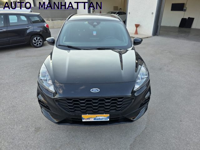 Ford Kuga 2.0 EcoBlue 120 CV aut. AWD ST-Line usato a FOGGIA