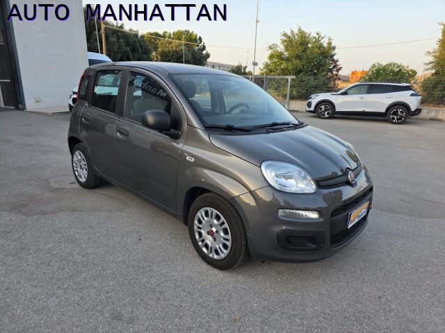 Fiat Panda 1.0 FireFly S&S Hybrid usato a FOGGIA