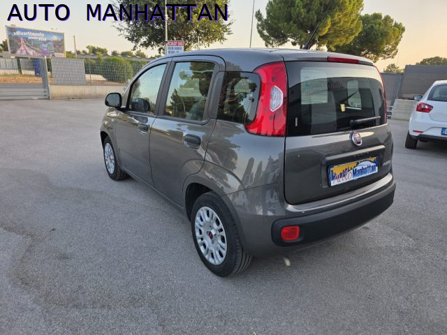 Fiat Panda 1.0 FireFly S&S Hybrid - foto 4 di 4