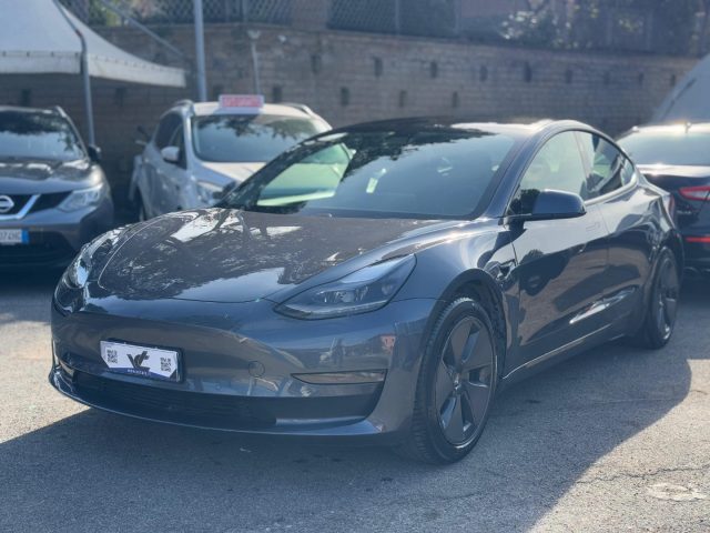 Tesla Model 3 Long Range Dual Motor AWD usato a SANTA MARIA DELLE MOLE