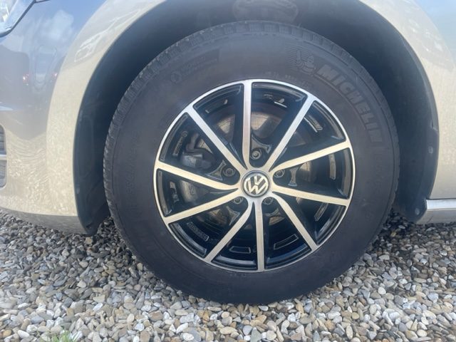 Volkswagen Golf 1.6 TDI 90 CV Trendline B.Motion NEOPATENTATI, del 2016, 79.000 km, in vendita a Prato (PO)