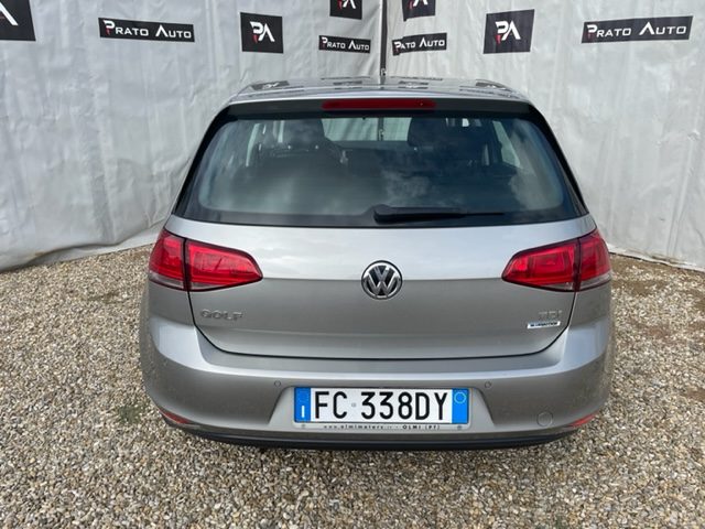 Volkswagen Golf 1.6 TDI 90 CV Trendline B.Motion NEOPATENTATI, del 2016, 79.000 km, in vendita a Prato (PO)