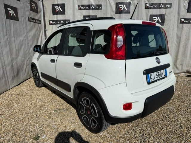Fiat Panda 1.0 FireFly S&S Hybrid City Life - foto 3 di 4