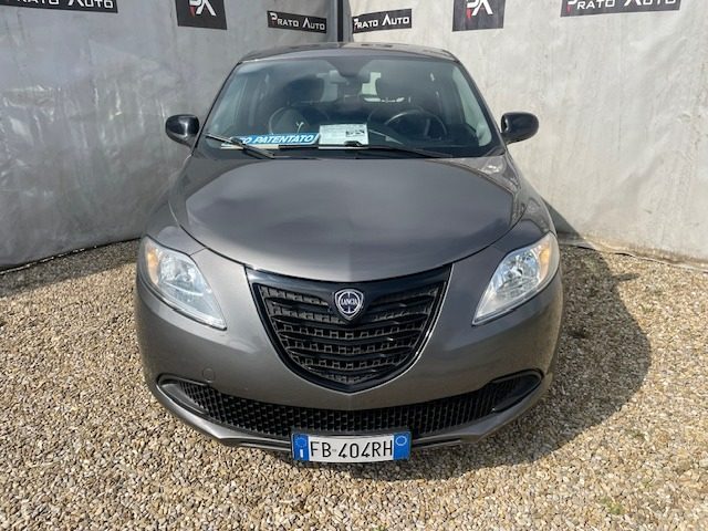 Lancia Ypsilon 1.2 69 CV 5 porte Elle usato a PRATO
