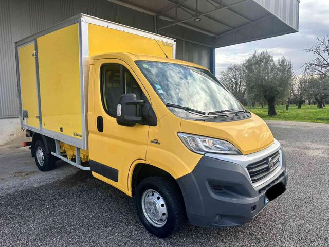 Fiat Ducato chassis 3.5 M 2.0mjt 115 usato a CALVI RISORTA