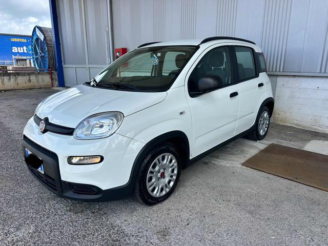 Fiat Panda 1.0 FireFly S&S Hybrid City Life usato a CALVI RISORTA