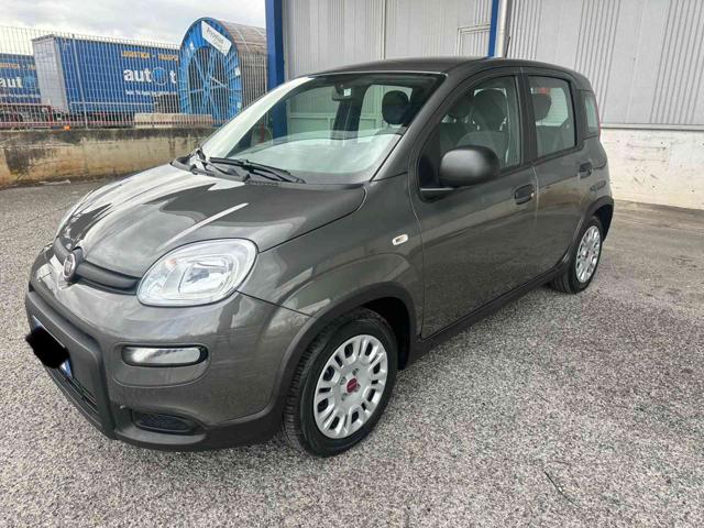 Fiat Panda 1.0 FireFly S&S Hybrid usato a CALVI RISORTA