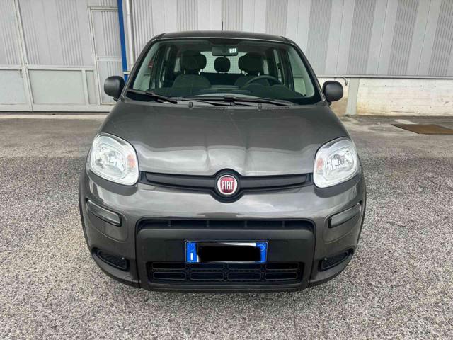 Fiat Panda 1.0 FireFly S&S Hybrid usato a CALVI RISORTA