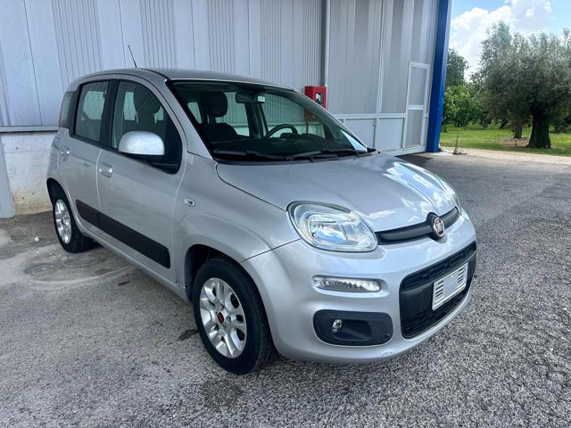 Fiat Panda 1.2 GPL Lounge OK NEO PATENTATI usato a CALVI RISORTA