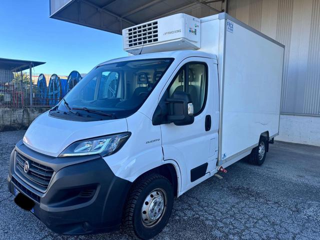 Fiat Ducato 35 2.3 MJT 140CV CELLA FRIGO usato a CALVI RISORTA