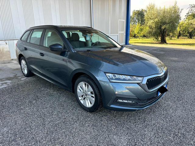Skoda Octavia 2.0 TDI EVO SCR Wagon Executive, del 2021, 154.000 km, in vendita a Calvi Risorta (CE)