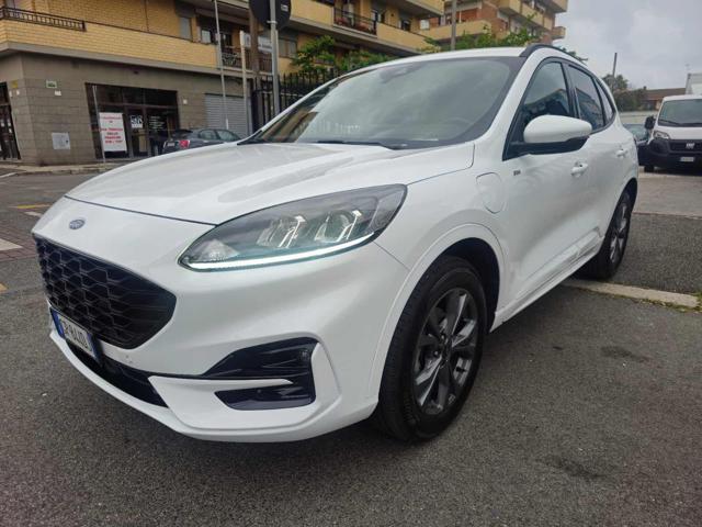 Ford Kuga 2.5 Full Hybrid 190 CV CVT 2WD ST-Line usato a FIUMICINO