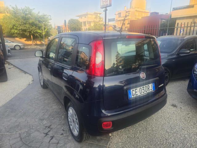 Fiat Panda 1.0 FireFly S&S Hybrid - foto 4 di 4