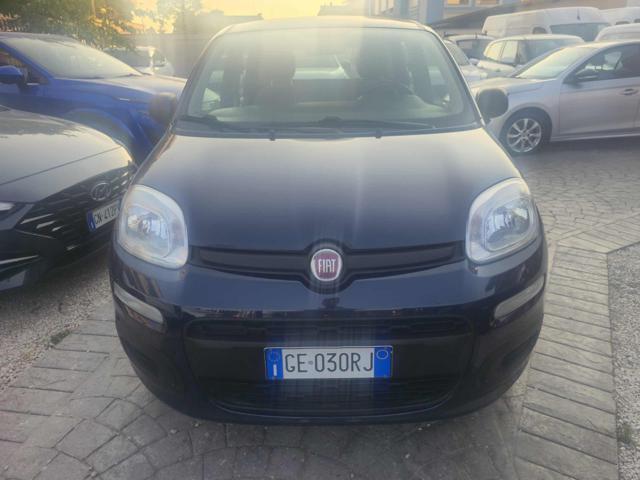 Fiat Panda 1.0 FireFly S&S Hybrid - foto 3 di 4