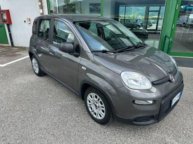 Fiat Panda 1.0 FireFly S&S Hybrid usato a PEDEROBBA