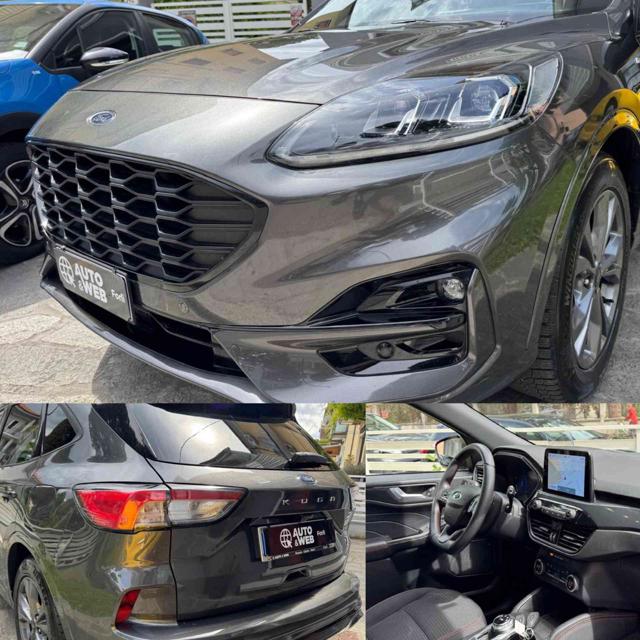 Ford Kuga 1.5 EcoBlue 120 CV aut. 2WD ST-LINE NEOPATENTATI usato a FORLì
