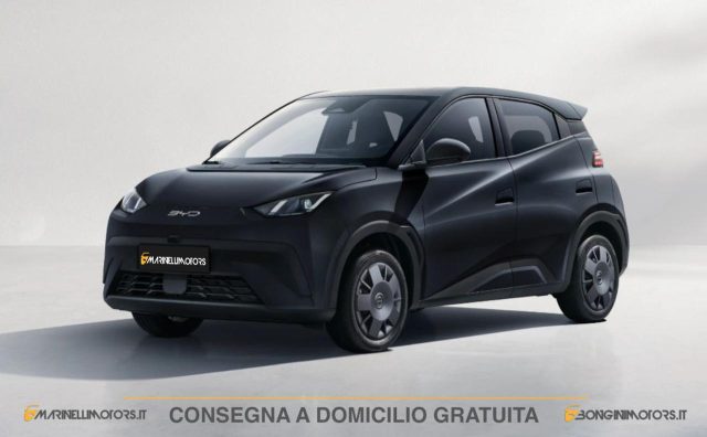 BYD Dolphin Surf ACTIVE km 0 a LENDINARA