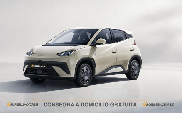 BYD Dolphin Surf ACTIVE km 0 a LENDINARA