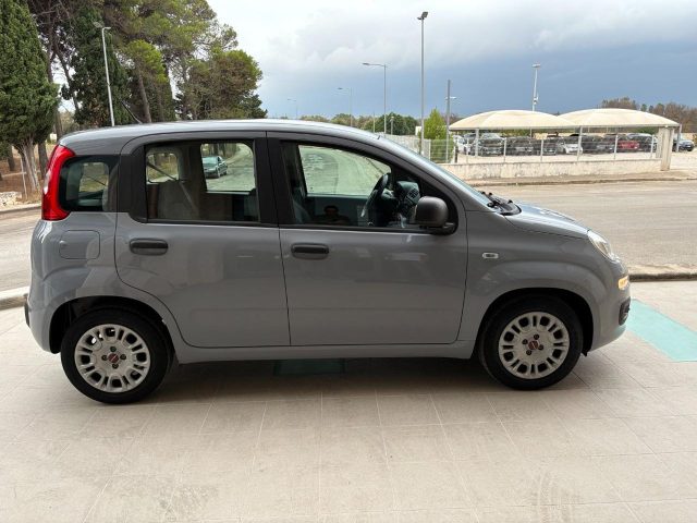 Fiat Panda 1.0 FireFly S&S Hybrid. - foto 4 di 4