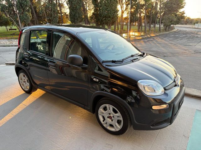 Fiat Panda 1.0 FireFly S&S Hybrid CERCHI IN LEGA. - foto 3 di 4
