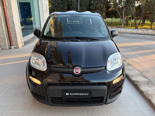 Fiat Panda 1.0 FireFly S&S Hybrid CERCHI IN LEGA. - foto 2 di 4