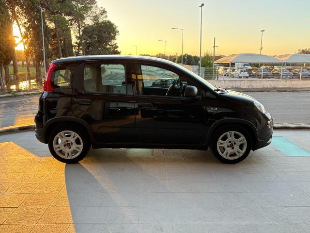 Fiat Panda 1.0 FireFly S&S Hybrid CERCHI IN LEGA. - foto 4 di 4