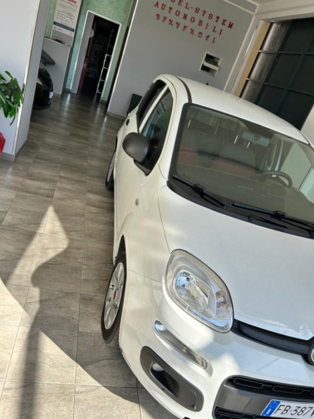 Fiat Panda 1.3 MJT Pop Van 2 posti usato a ROSARNO