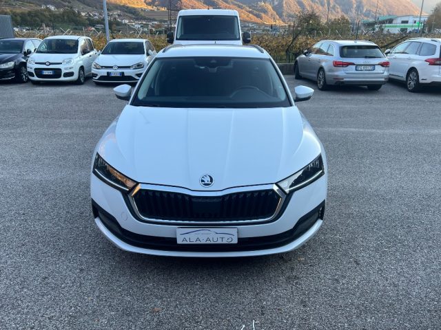 Skoda Octavia SCOUT 4X4 usato a ALA
