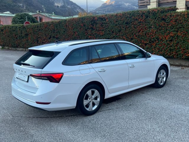 Skoda Octavia SCOUT 4X4 - foto 4 di 4