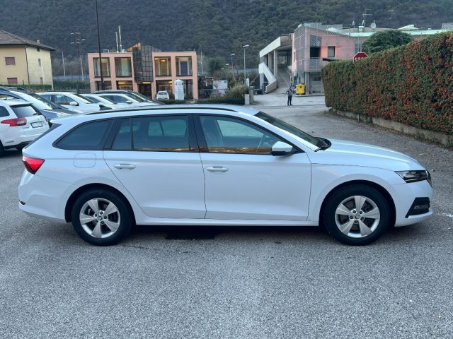 Skoda Octavia SCOUT 4X4 - foto 3 di 4