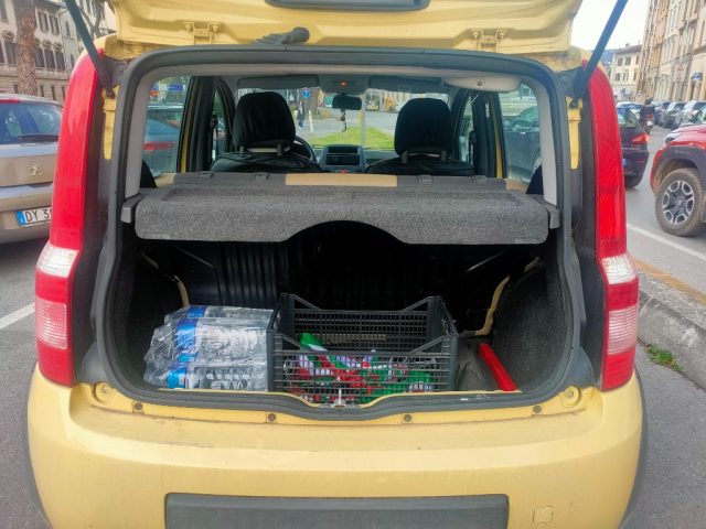 Fiat Panda 1.3 MJT 16V 4x4 Climbing usato a FIRENZE