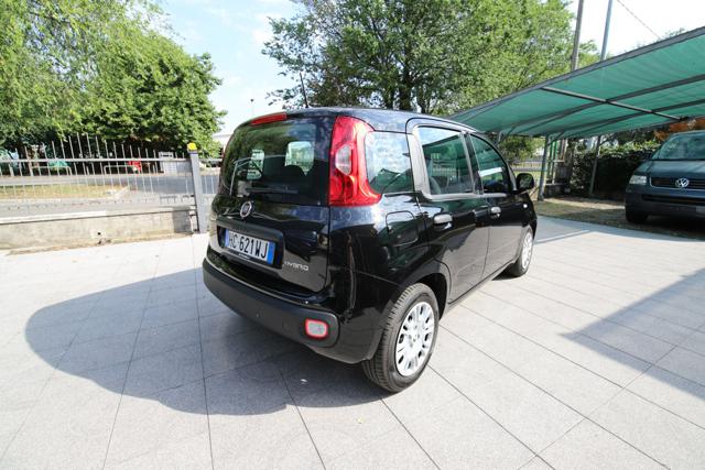 Fiat Panda 1.0 FireFly S&S Hybrid Icon - foto 3 di 4