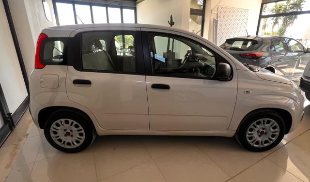 Fiat Panda 0.9 TwinAir Turbo Natural Power Easy - foto 3 di 4