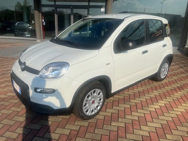 Fiat Panda 1.0 FireFly S&S Hybrid (NOLEGGIO) usato a MONTECCHIO MAGGIORE
