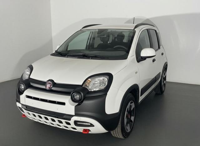 Fiat Panda Cross 1.0 Hybrid 70cv Cross 5 posti + Car Play +PDC Post usato a TORINO