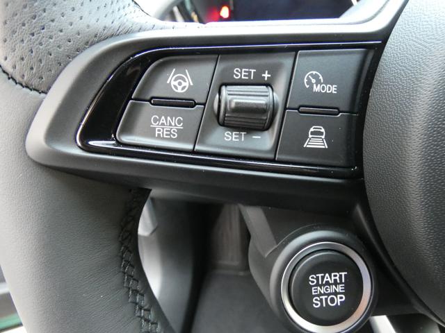 Alfa Romeo Tonale 1.3 280CV PHEV AT6 Q4 Speciale usato a CASTELROTTO